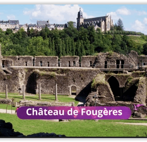 Bas écran violet (2K)