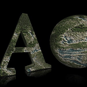 Texture Forest Flood 4K