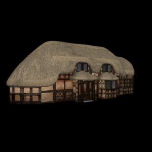 Pack maisons de village (3D)