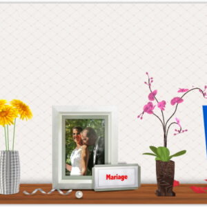Animation Mariage 2