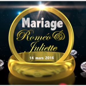Animation Mariage 8