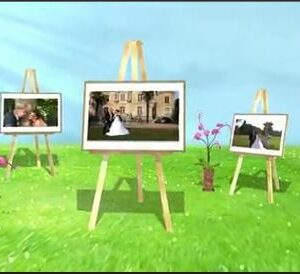 Animation Mariage 3