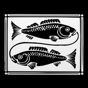 Zodiaque – Poissons (4K)