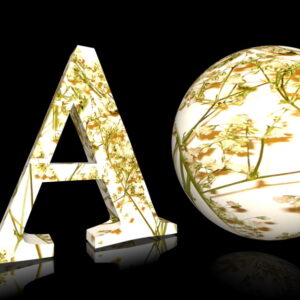 Pack « Dried Flowers » (Fonte + Texture) (CD)