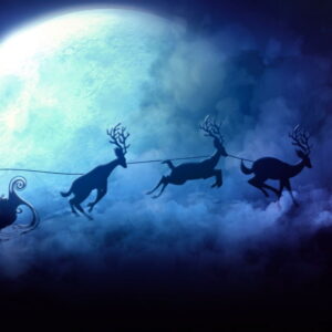 Pack Fonds d&rsquo;écrans animés V1 (4K) (CD)