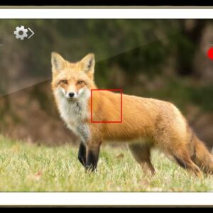 Captures d&rsquo;écrans