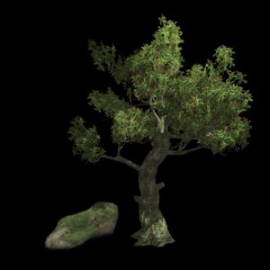 Bonsaï de Kingsville (3D)