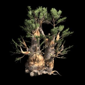 Pin de Bristlecone (3D)