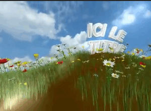 Fleur sur la colline 5