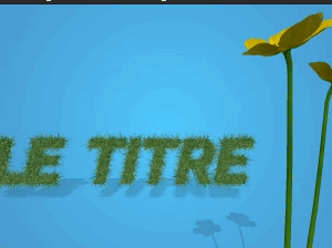 Fleur Titre 3
