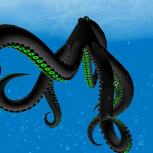 Octopus 1