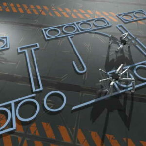 Araignées tagueuses