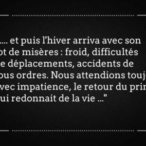 Template Film muet 7