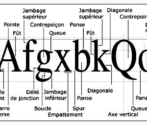 La Bible du titrage avec DaVinci Resolve et BluffTitler