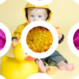 Pack effets de transition pour ProShow Producer (V2)