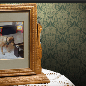 ProShow Styles Vintage