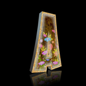 Pack Fontes Déco (CD)