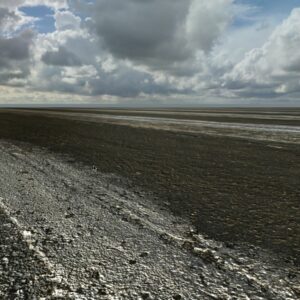 Pack Textures Nature 3D – 4K