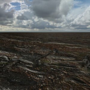 Pack Textures 3D : « Forêt – Chemins forestiers » 2K