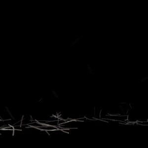 VFX03 – Débris végétaux