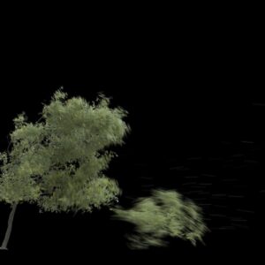VFX05 – Arbre branche cassée