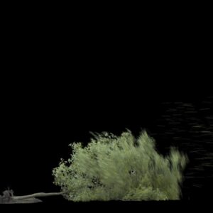 VFX06 – Arbre déraciné 1