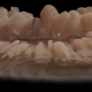 VFX08 – Tempête de sable