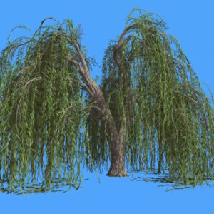 Pack d&rsquo;arbres animés (2K)