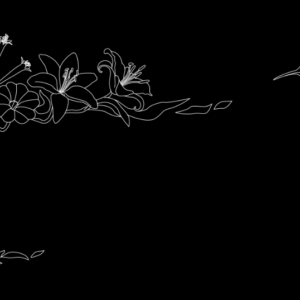 Fabuleuses animations de titrages mariages