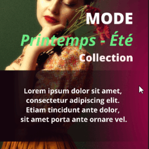 Macros Instagram Story V3